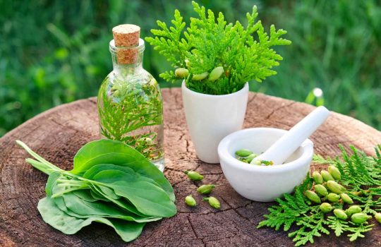 Naturopathy Healthy Lifestyle2