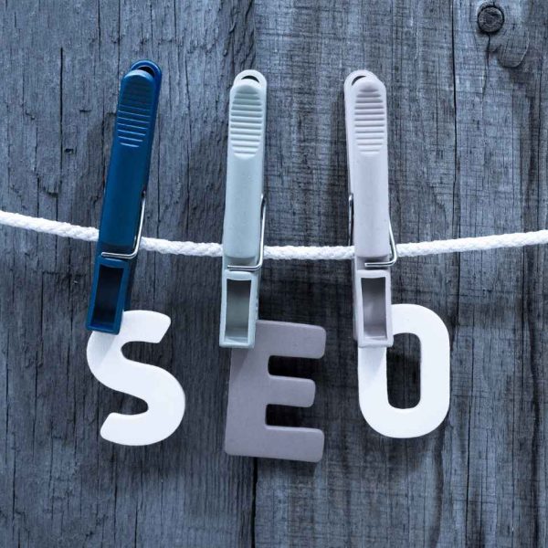SEO organach2